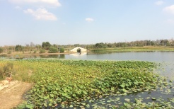 北湖公园